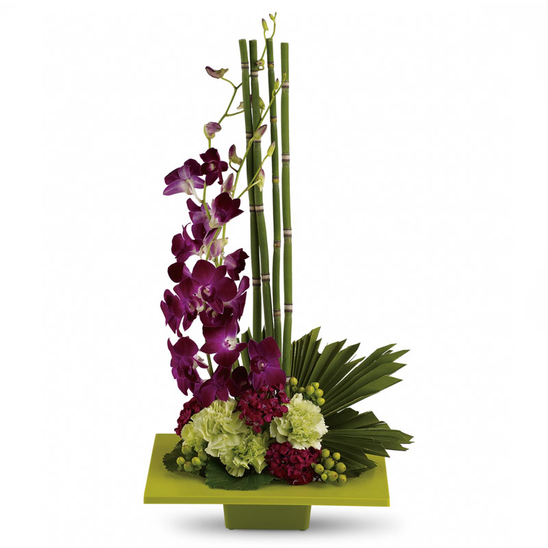 6512 Zen Artistry  product image