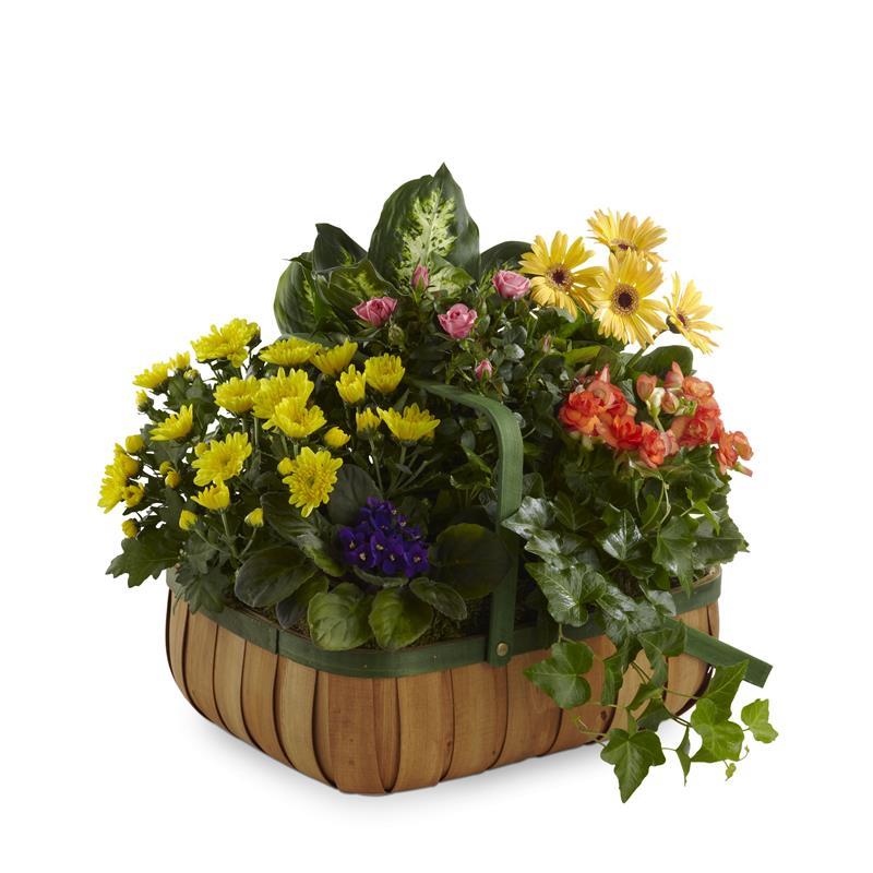 4020 Gentle Blossoms Basket product image