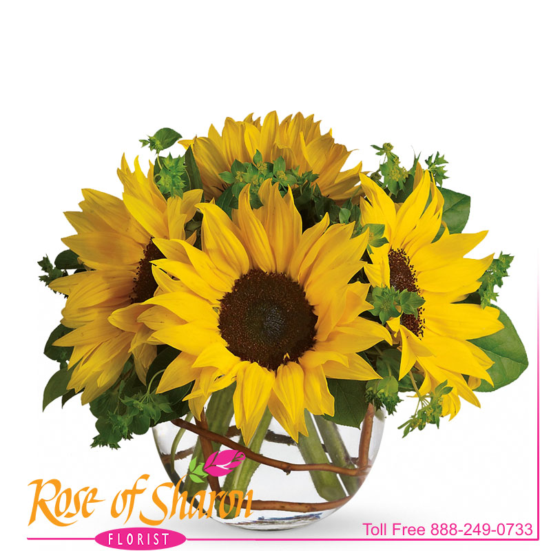 1916 Sunny Sunflowers product image