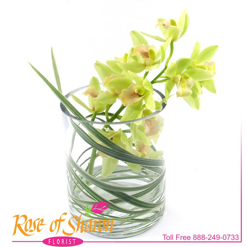 2018 Miniature Cymbidium Vase product image