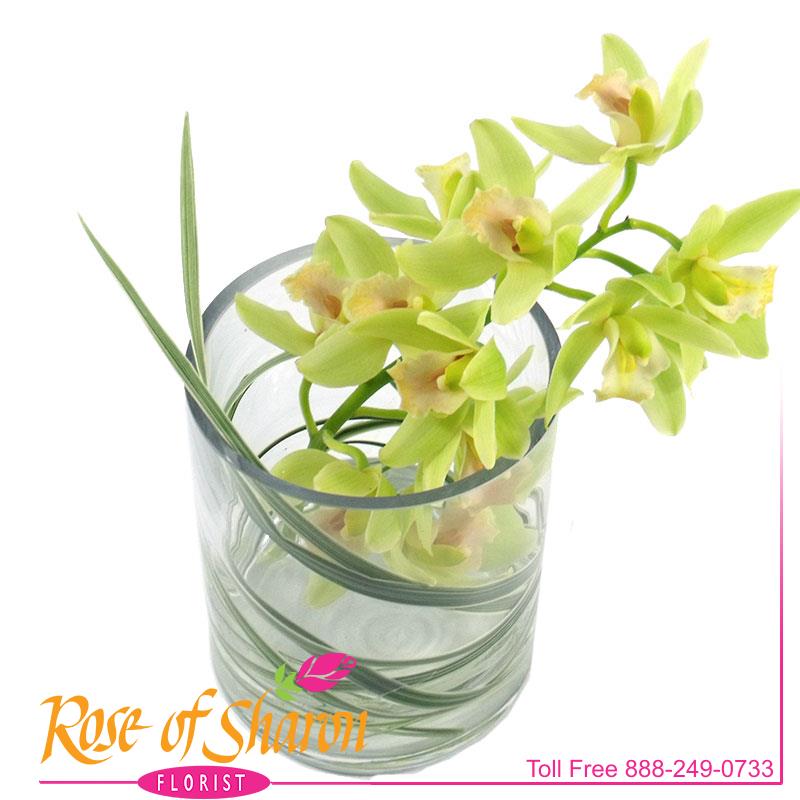 2018 Miniature Cymbidium Vase Image One