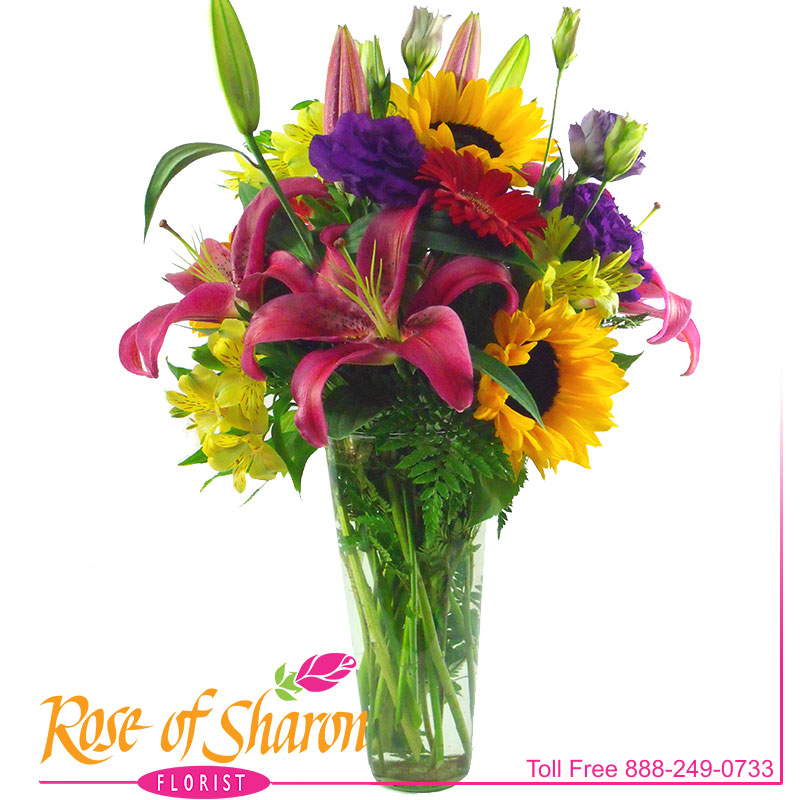 2066 Sunflower Cheer product image