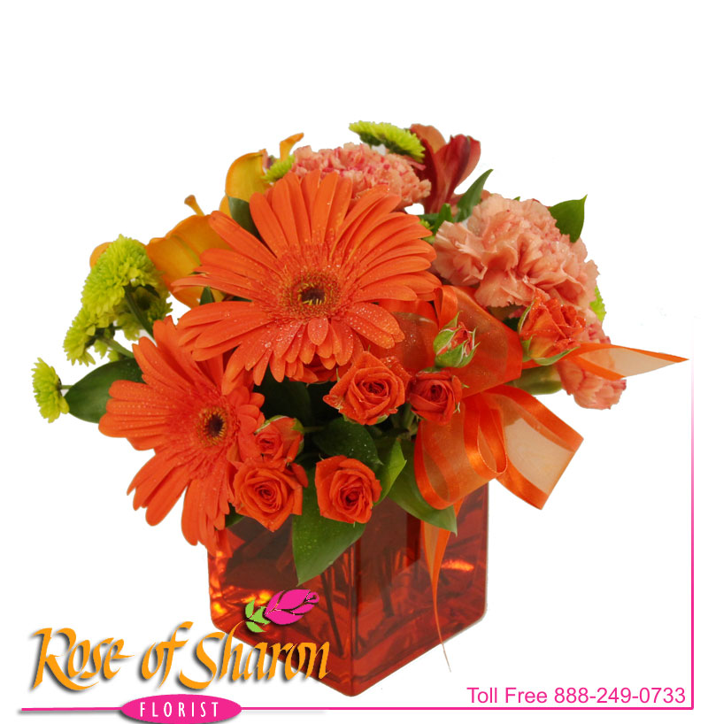 2091 Orange product image