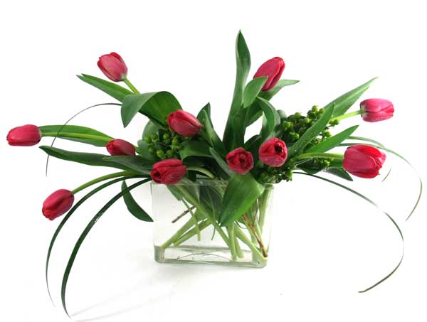 2130 Tulips by Twelve Image Two