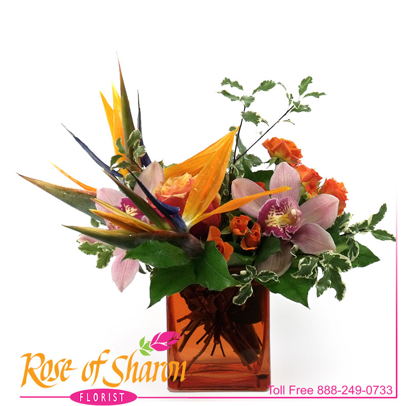 2165 Cymbidium and Birds of Paradise product image