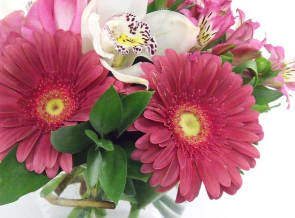 2169 Simply Sweet Image Two