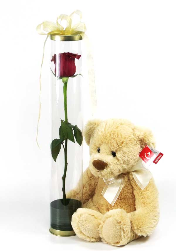 2190 Rose & Plush Combo product image