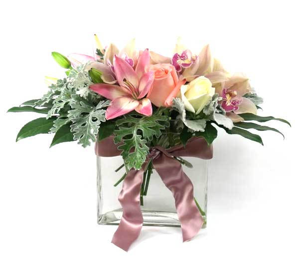 2197 Lovely Lady product image