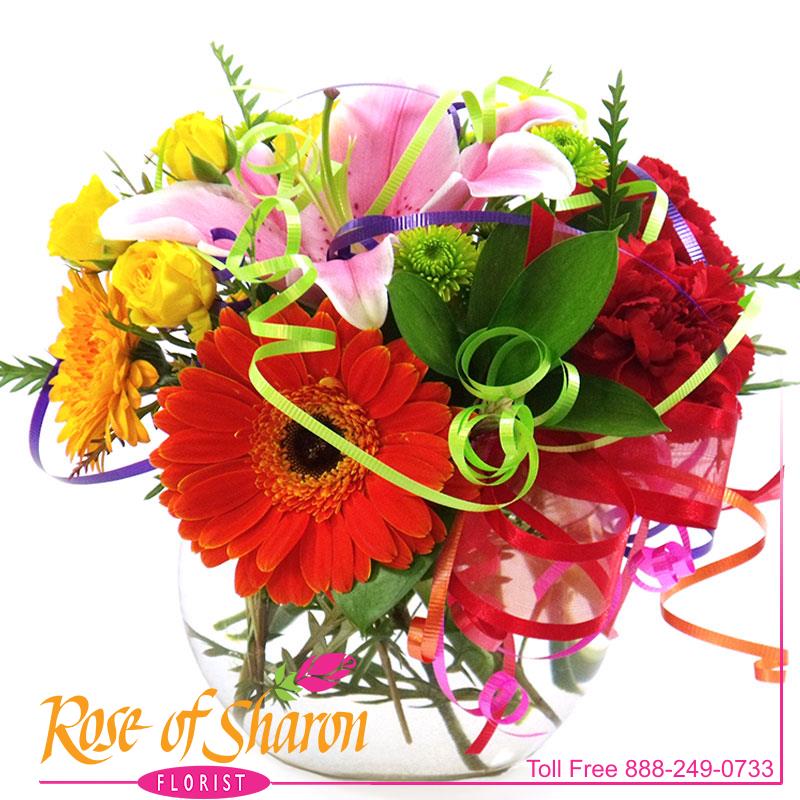 2209 Simply Sweet Celebration product image