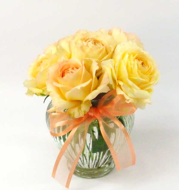 2220 Garden Roses product image